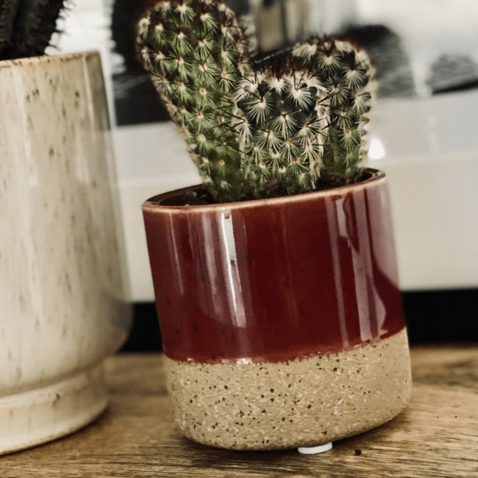 Mica Übertopf